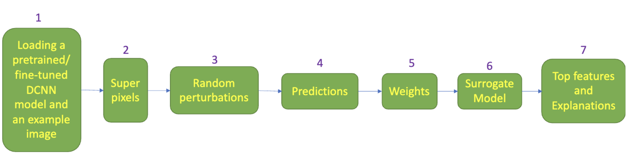 From left to right connected by arrows: 1. Loading a pretrained/fine-tuned DCNN model and an example image. 2. Super pixels. 3. Random Perturbations. 4. Predictions. 5. Weights. 6. Surrogate Model. 7. Top Features and Explanations