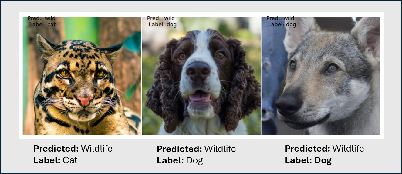 Diagram showing 3 incorrecly classified images.