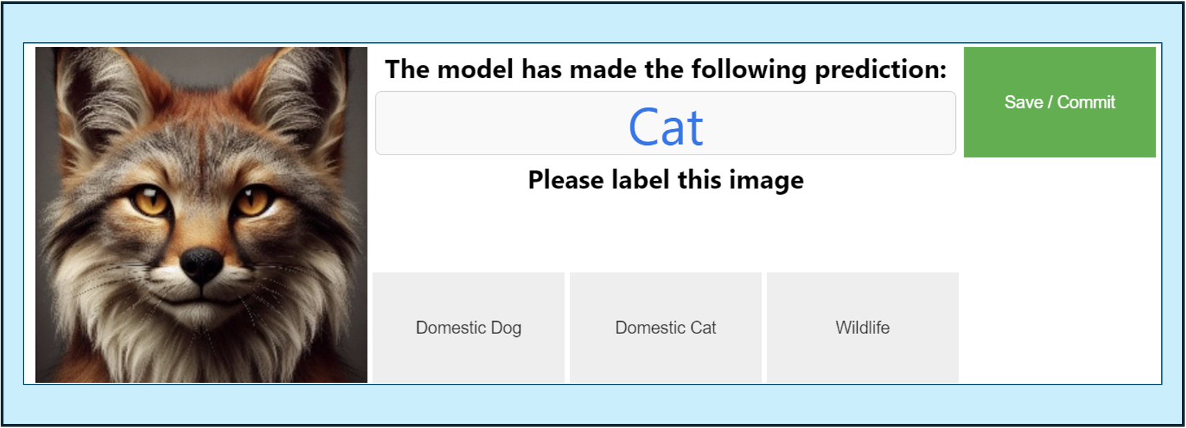 A screenshot of the image labelling tool