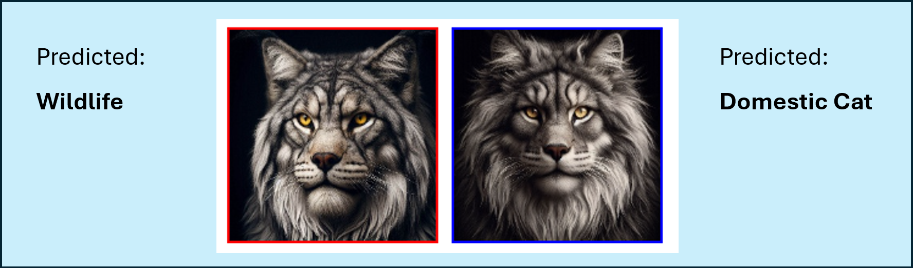 Two images of lion-like creatures, each predicted differently.