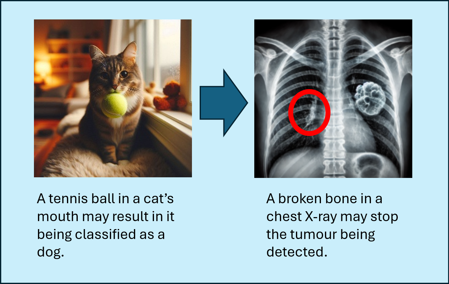 An image of a cta holding a tennis ball next to a chest X-ray.