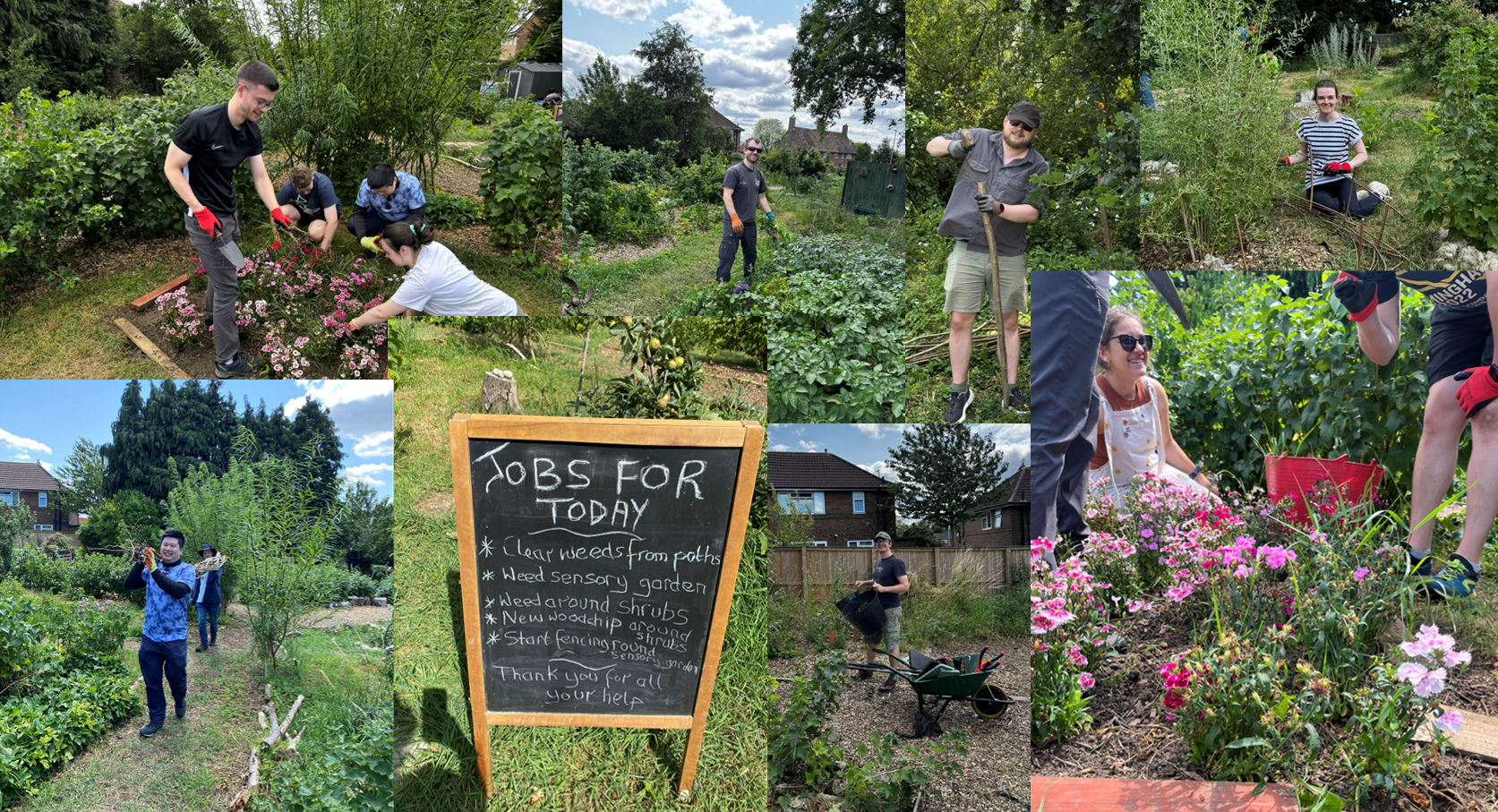 Collage of images of the team working in the garden